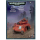 41-09 Baal-Predator Der Blood Angels