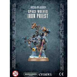 53-19 Space Wolves: Iron Priest
