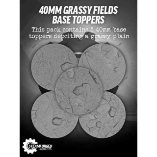 Guild Ball 40mm Grassy Fields Resin Base Troopers (5)