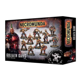 300-10 Necromunda: Goliath Gang