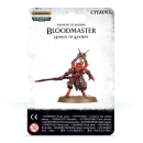 97-62 Daemons of Khorne: Bloodmaster Herald of Khorne