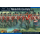 British Line Infantry (Waterloo)