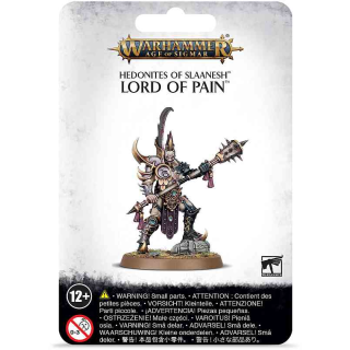83-87 Hedonites of Slaanesh: Lord of Pain