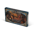 DSA5 Spielkartenset: Aventurisches Transmutarium