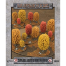 Small Autumn Wood