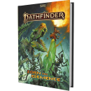 Pathfinder 2 - Zorn der Elemente
