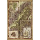 Warhammer Fantasy Rollenspiel: Landkarte Reikland