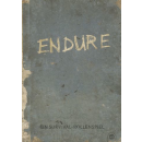 Endure: Ein Survival-Rollenspiel