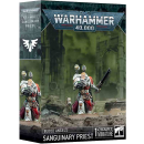 41-48 Blood Angels: Sanguinary Priest (Sanguiniuspriester)