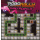 Robo Rally: Thrills & Spills