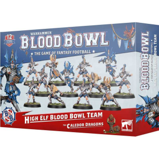 202-62 Blood Bowl: High Elf Team (The Caledor Dragons)