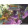 Klong!: Katakomben Horte, Kammern & Trophäen